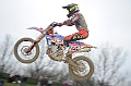 _ROB5355 (Copy)